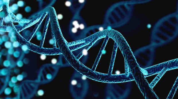 NVIDIA's new DNA model is a powerful tool for AI research