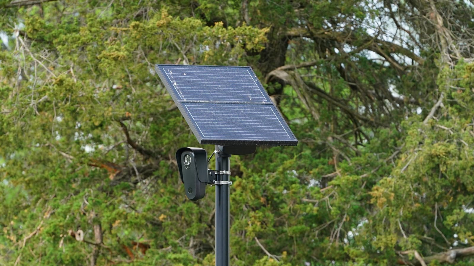 Flock's surveillance cameras
